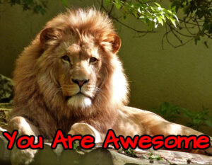 A majestic maned lion with the words "You Are Awesome" at the bottom of the picture.