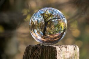 A clear crystal ball on a wooden pedestal reflecting the forest. Show and Tell.